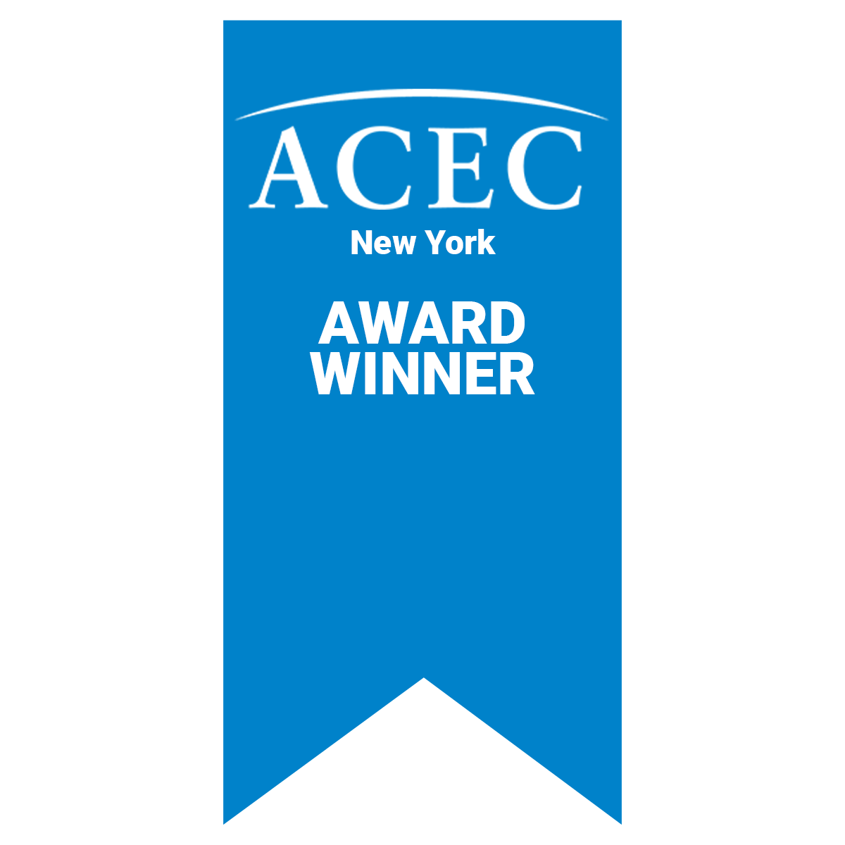 2021 ACEC New York State Engineering Excellence Diamond Award for Special projects