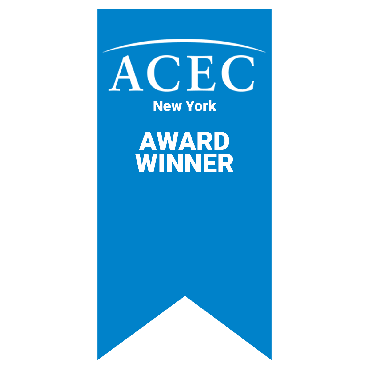 ACEC New York - Platinum Award