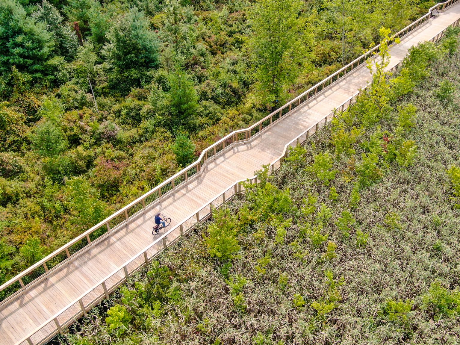 Ashokan Rail Trail Opens to the Public