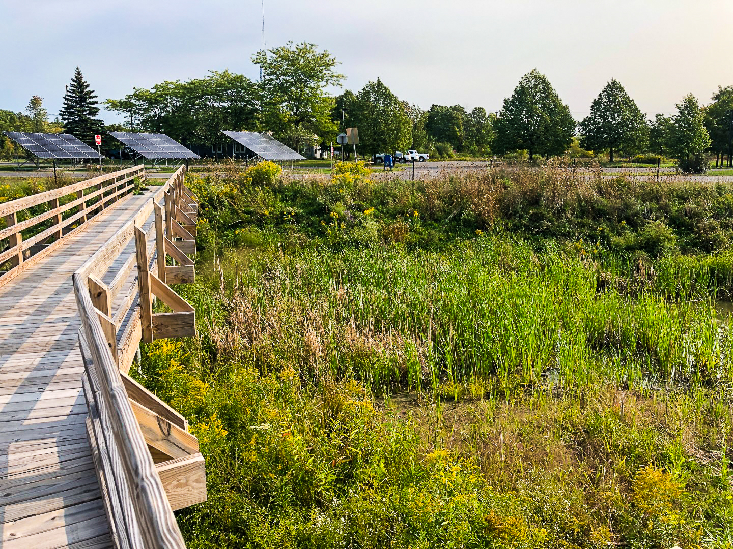 Land Port of Entry Wetland Mitigation: Alexandria Bay, New York