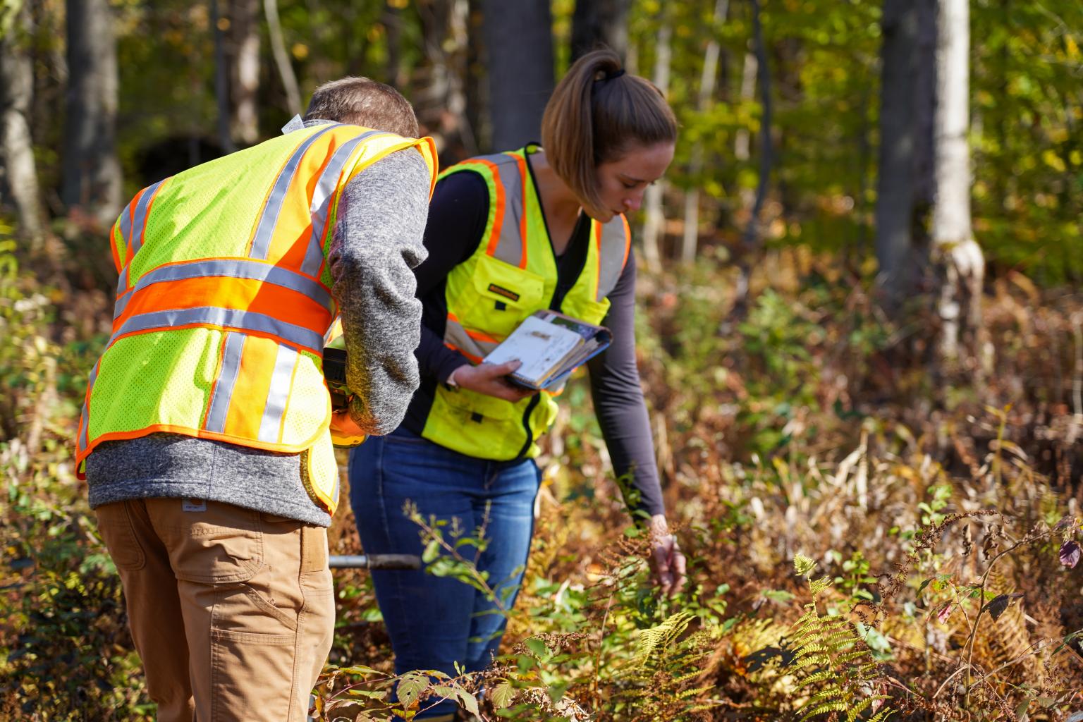 Sandy Creek Phase I Study: Sandy Creek, New York