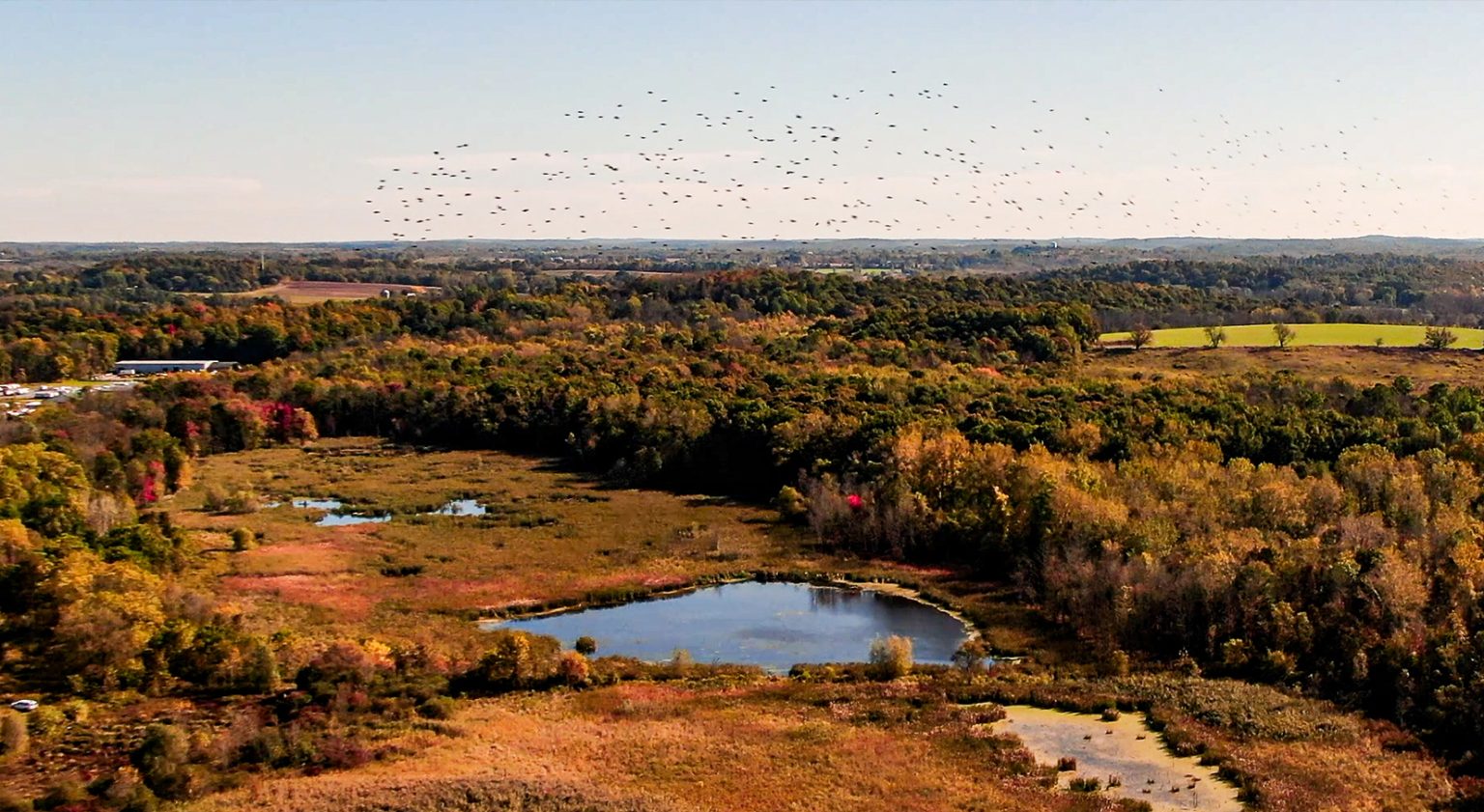 High Acres Nature Area (HANA) Wildlife Habitat Council Recertification, Fairport, New York