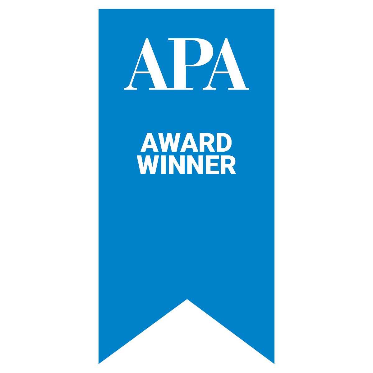 2020 Best Practice Award from the American Planning Association - Upstate New York Chapter