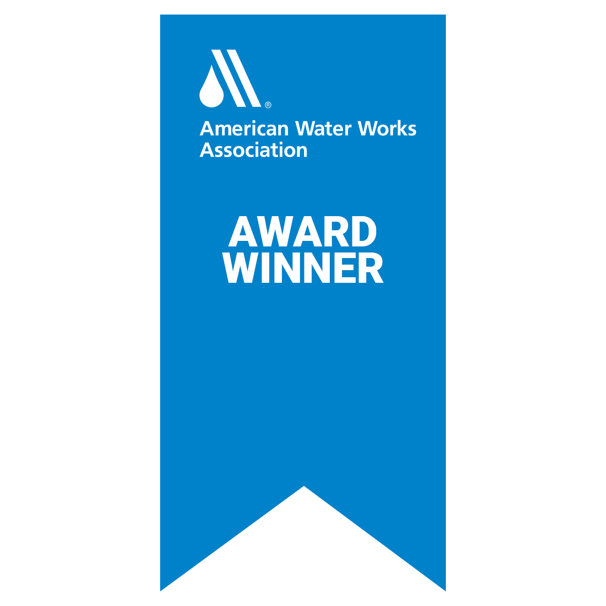 2019 Project of the Year from AWWA New York