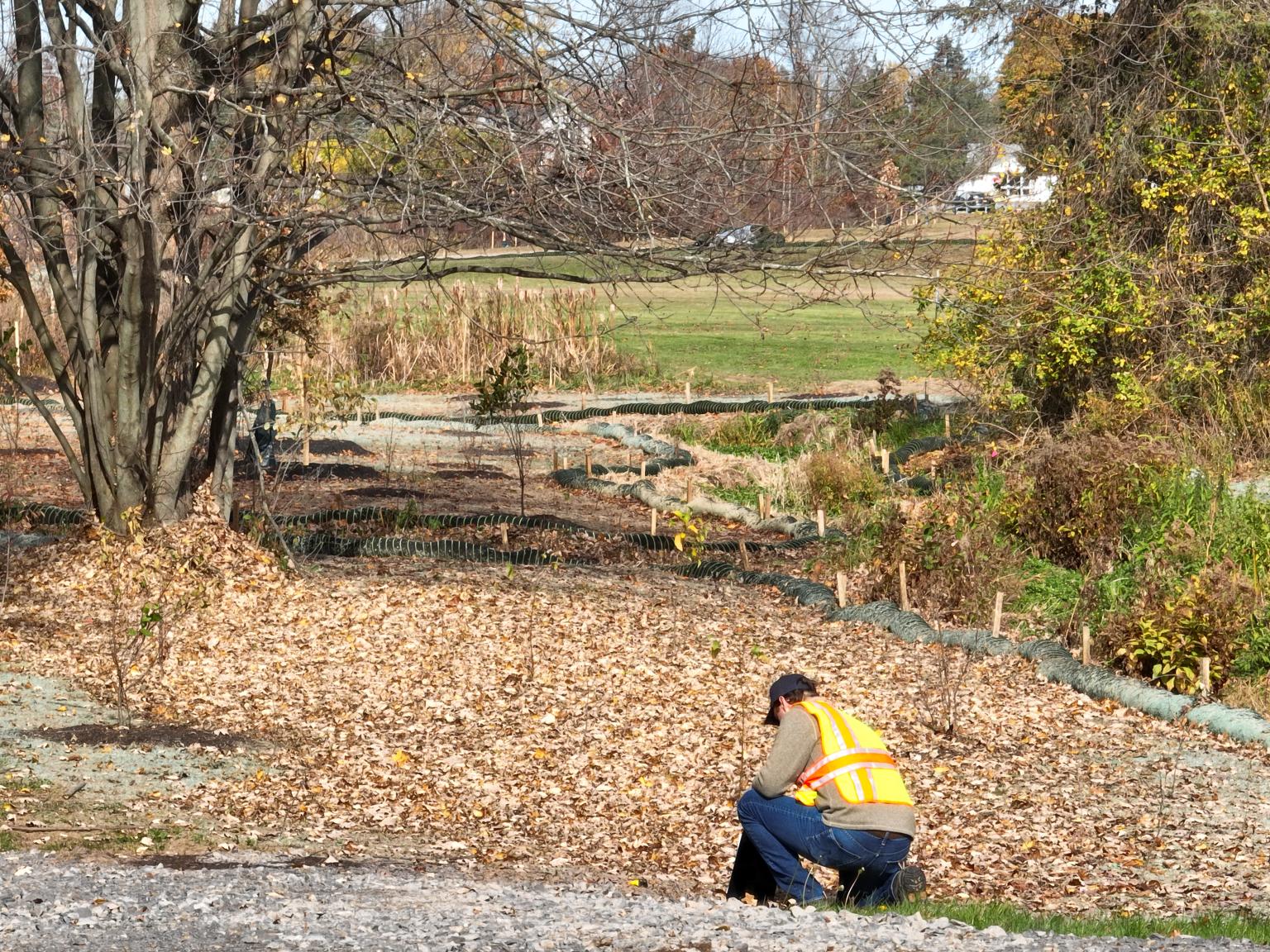 Stream Restoration: Churchville, New York