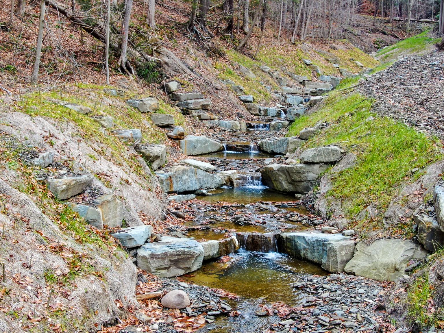 Brown Road Stream Restoration: Danby, New York