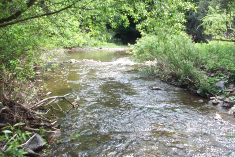National Stream Restoration Conference