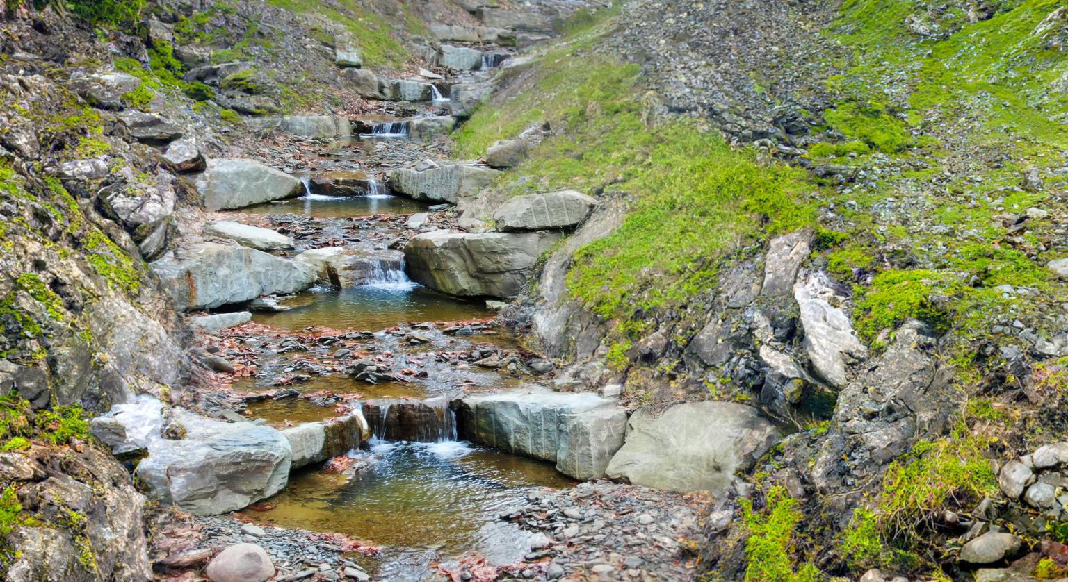 Brown Road Stream Stabilization: Danby, New York